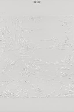 Bon Iver at AIR Studios (4AD/Jagjaguwar Session)