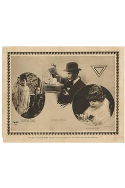 The Lily and the Rose