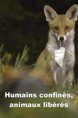 Menschen eingesperrt, Tiere befreit