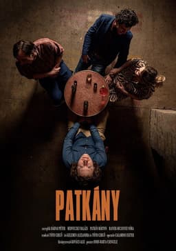 Patkány
