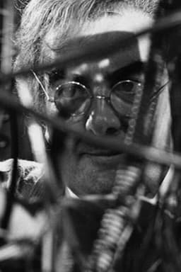 Something in the Cellar