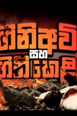 Firearms and Fireworks