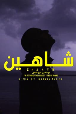 SHAHYN - THE RETURN OF THE FIERCEST TYPES OF HAWKS