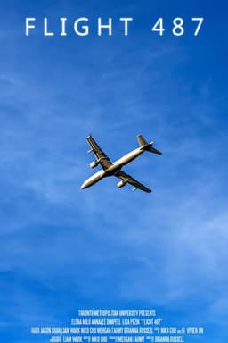 Flight 487