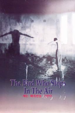 The Bird Who Stops in the Air