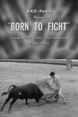 Born to Fight