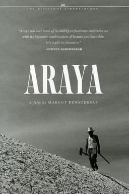 Araya