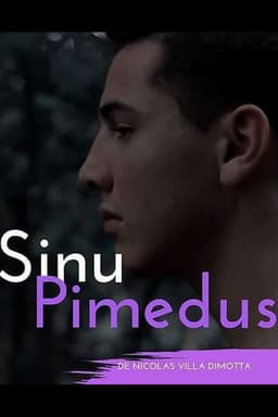 Sinu Pimedus