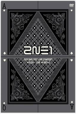 2NE1: 1st Live Concert NOLZA