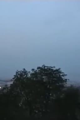 L'internationale des fonctionnaires