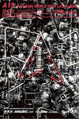 A15 - 張惠妹 AMeiZING Live 世界巡迴演唱會 跨世紀盛典