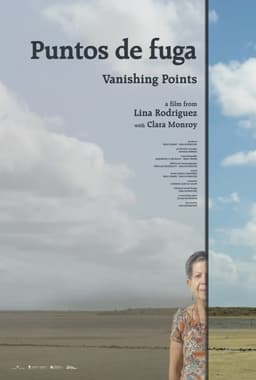 Vanishing Points