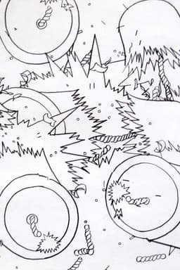 The Lives of Firecrackers