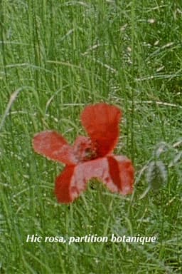Hic rosa, partition botanique