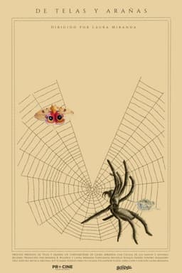Of Webs and Spiders