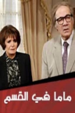 Mom at the Police Station