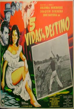 Five lives and one destiny