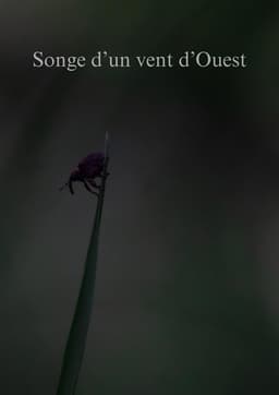 Songe d'un vent d'Ouest