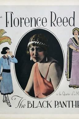 The Black Panther's Cub