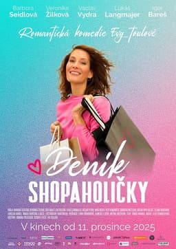 Shopaholic's diary