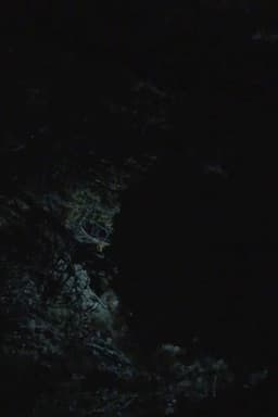 All the Planets in My Heart