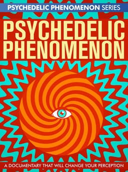 Psychedelic Experiences