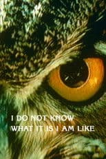 I Do Not Know What It Is I Am Like