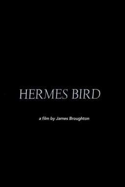 Hermes Bird
