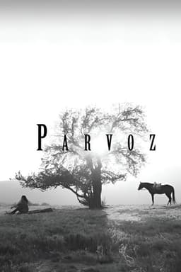 Parvoz